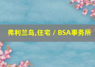 弗利兰岛,住宅 / BSA事务所